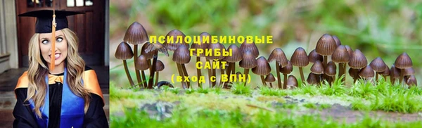 хмурый Балабаново