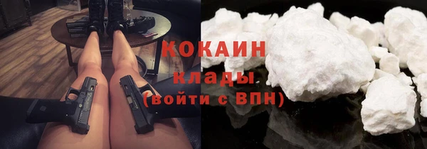 шишки Балахна