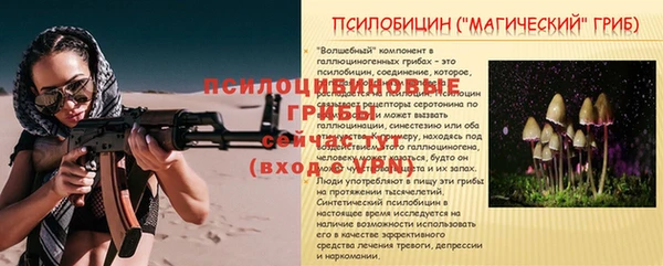 хмурый Балабаново