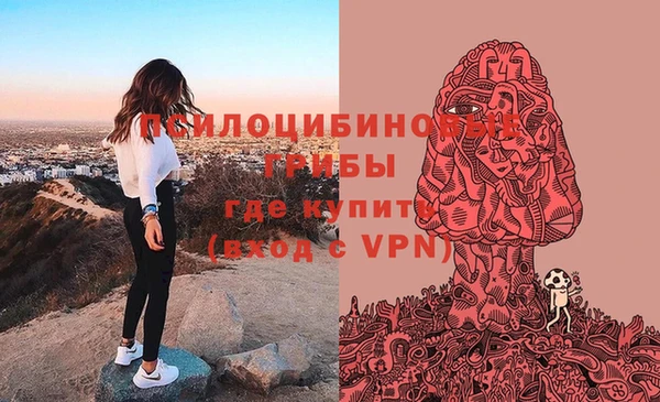 шишки Балахна