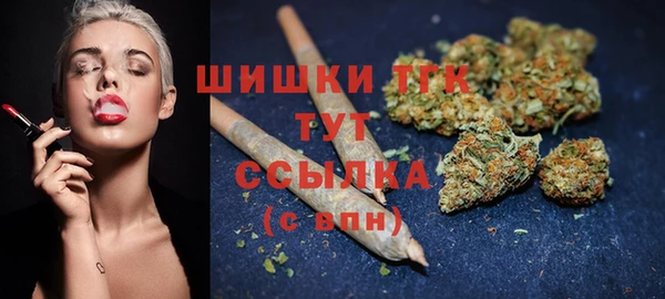 шишки Балахна