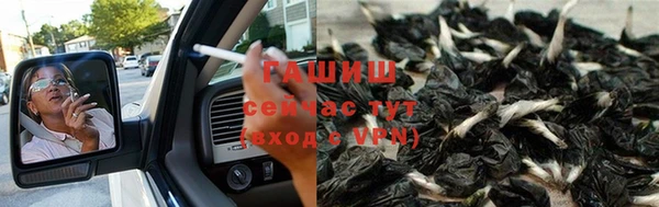 шишки Балахна