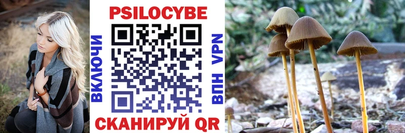 Галлюциногенные грибы Cubensis купить наркоту Гай