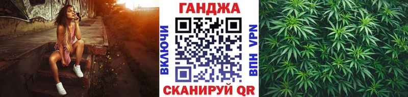 Каннабис семена  Гай 
